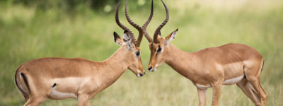 Da li ste za kompromis?