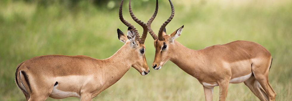 Da li ste za kompromis?